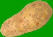 Kartoffeln